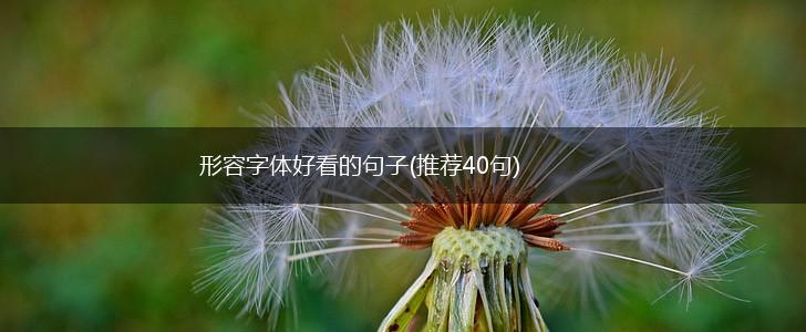 形容字体好看的句子(推荐40句),第1张
