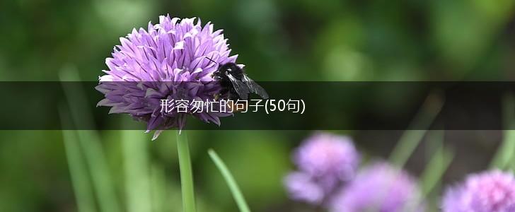 形容匆忙的句子(50句),第1张