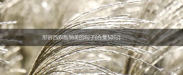 形容西双版纳美的句子(合集50句),第1张
