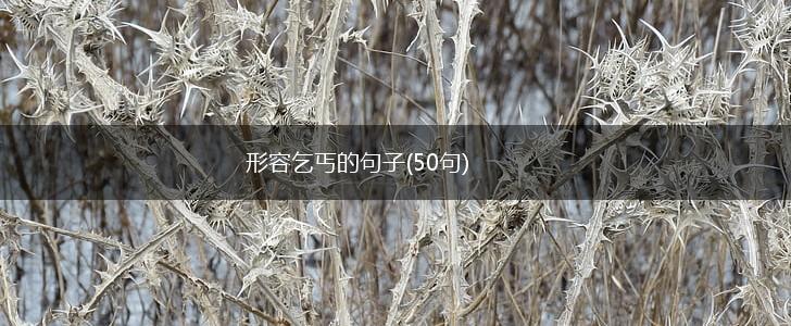 形容乞丐的句子(50句),第1张
