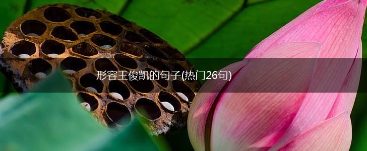 形容王俊凯的句子(热门26句),第1张