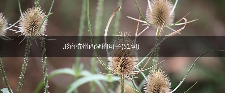 形容杭州西湖的句子(51句),第1张