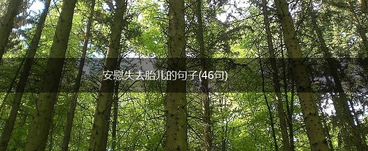 安慰失去胎儿的句子(46句),第1张