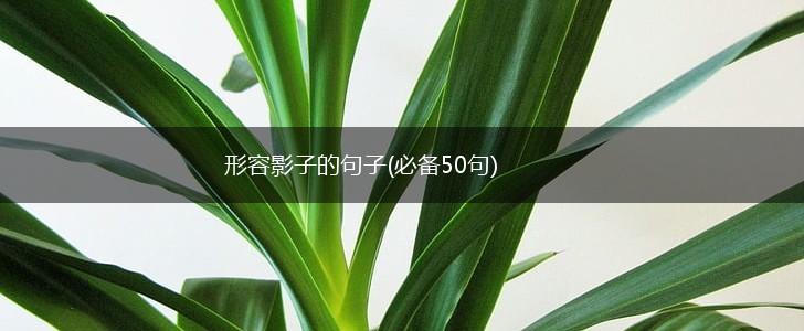 形容影子的句子(必备50句),第1张 形容影子的句子(必备50句),第1张