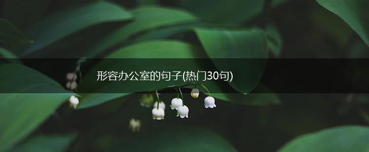 形容办公室的句子(热门30句),第1张