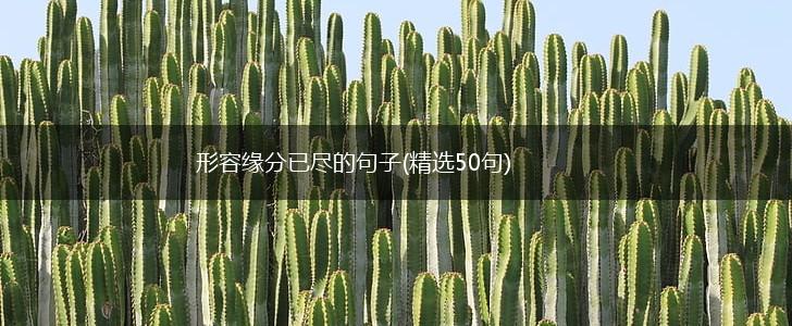 形容缘分已尽的句子(精选50句),第1张