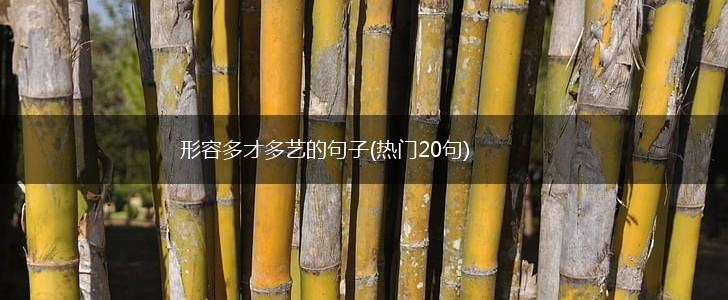 形容多才多艺的句子(热门20句),第1张