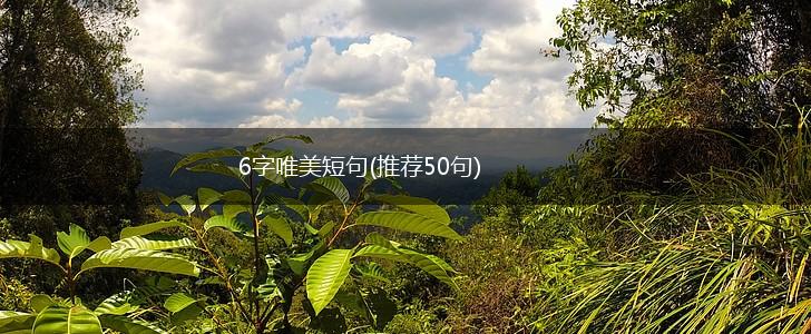 6字唯美短句(推荐50句),第1张