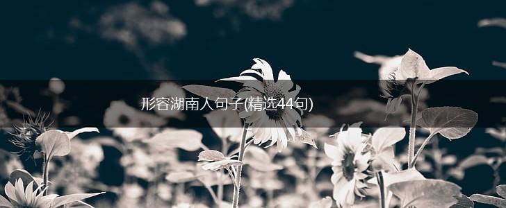 形容湖南人句子(精选44句),第1张