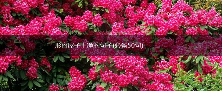 形容屋子干净的句子(必备50句),第1张 形容屋子干净的句子(必备50句),第1张