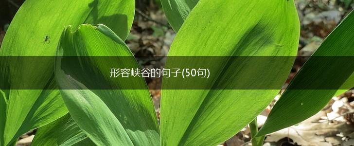 形容峡谷的句子(50句),第1张