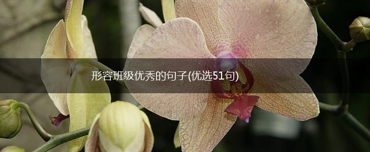 形容班级优秀的句子(优选51句),第1张