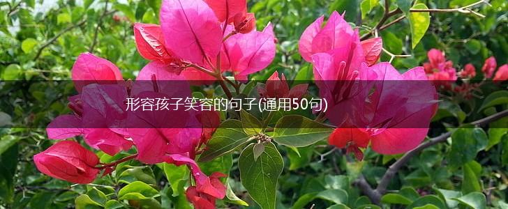 形容孩子笑容的句子(通用50句),第1张