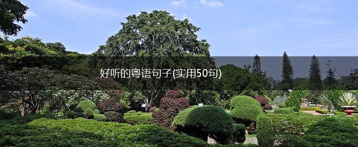 好听的粤语句子(实用50句),第1张