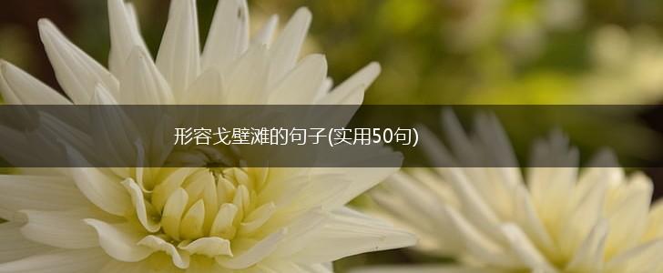 形容戈壁滩的句子(实用50句),第1张