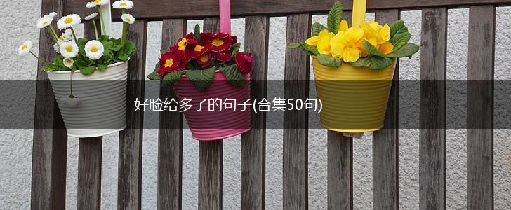 好脸给多了的句子(合集50句),第1张