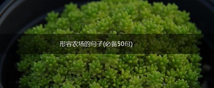 形容农场的句子(必备50句),第1张