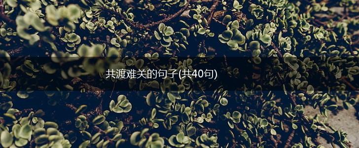 共渡难关的句子(共40句),第1张