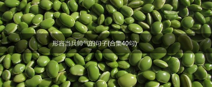 形容当兵帅气的句子(合集40句),第1张