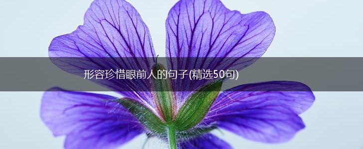 形容珍惜眼前人的句子(精选50句),第1张