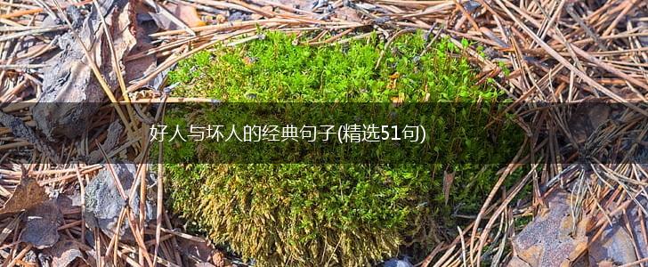 好人与坏人的经典句子(精选51句),第1张