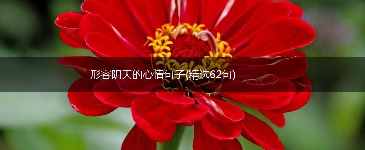 形容阴天的心情句子(精选62句),第1张