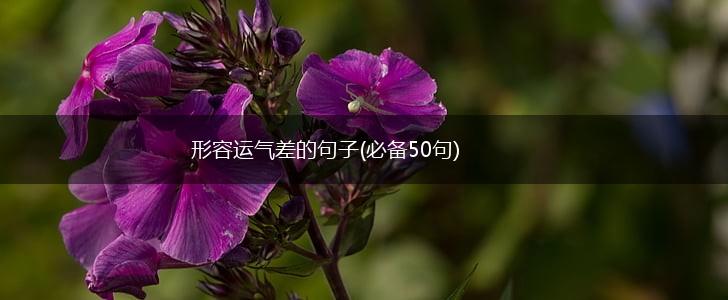 形容运气差的句子(必备50句),第1张
