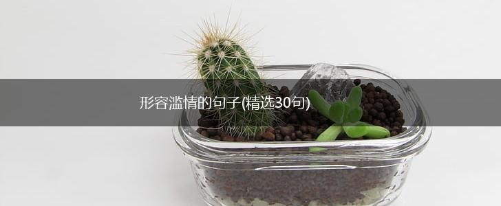 形容滥情的句子(精选30句),第1张