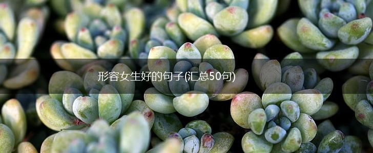 形容女生好的句子(汇总50句),第1张