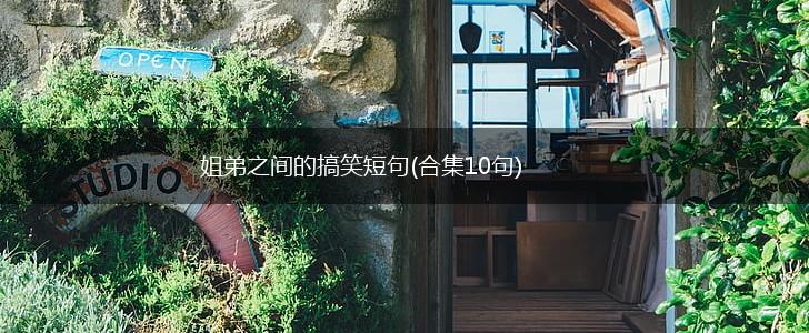 姐弟之间的搞笑短句(合集10句),第1张