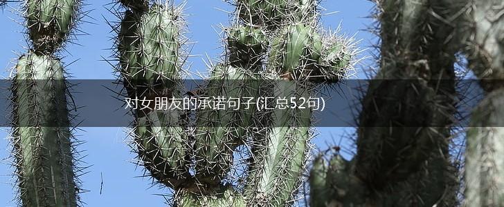 对女朋友的承诺句子(汇总52句),第1张
