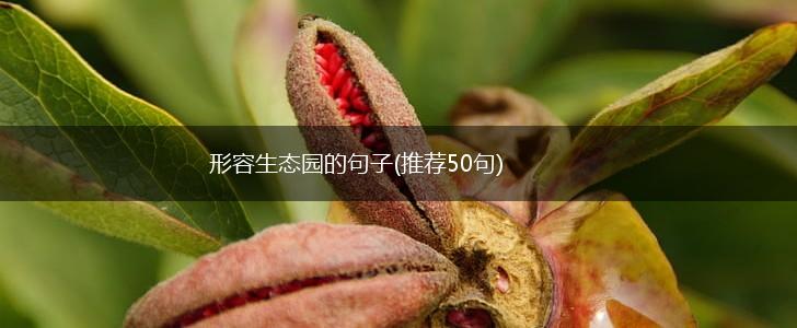 形容生态园的句子(推荐50句),第1张