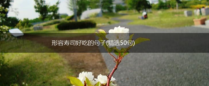 形容寿司好吃的句子(精选50句),第1张