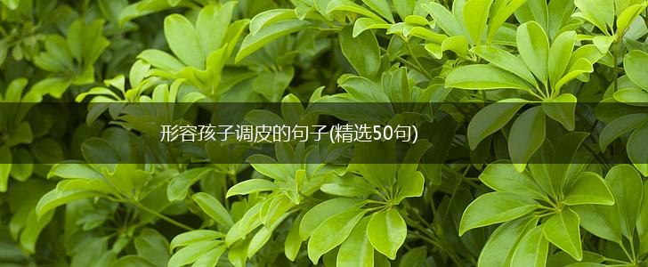 形容孩子调皮的句子(精选50句),第1张