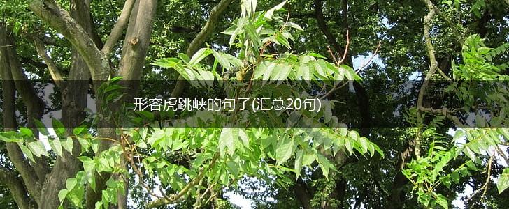 形容虎跳峡的句子(汇总20句),第1张