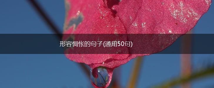 形容惆怅的句子(通用50句),第1张 形容惆怅的句子(通用50句),第1张