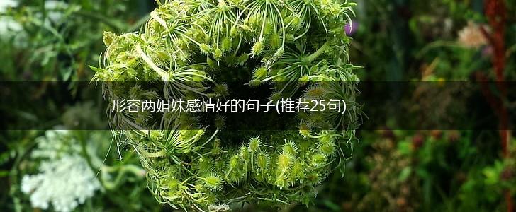 形容两姐妹感情好的句子(推荐25句),第1张