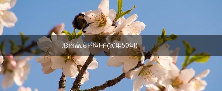 形容高度的句子(实用50句),第1张 形容高度的句子(实用50句),第1张
