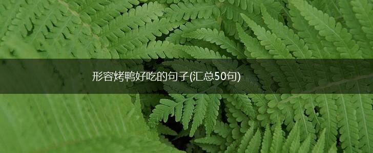形容烤鸭好吃的句子(汇总50句),第1张
