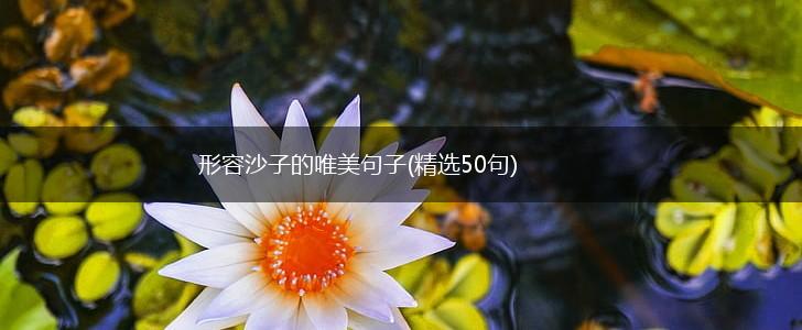 形容沙子的唯美句子(精选50句),第1张