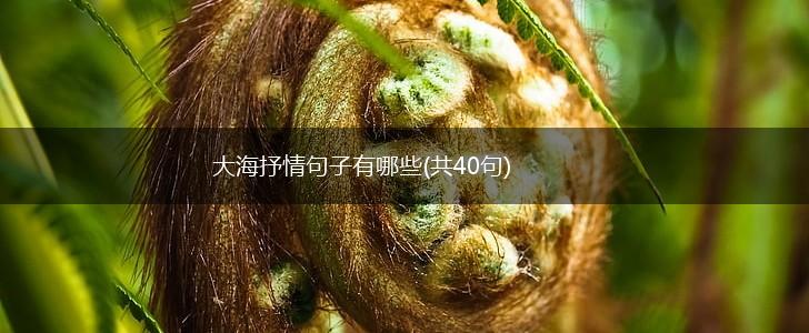 大海抒情句子有哪些(共40句),第1张