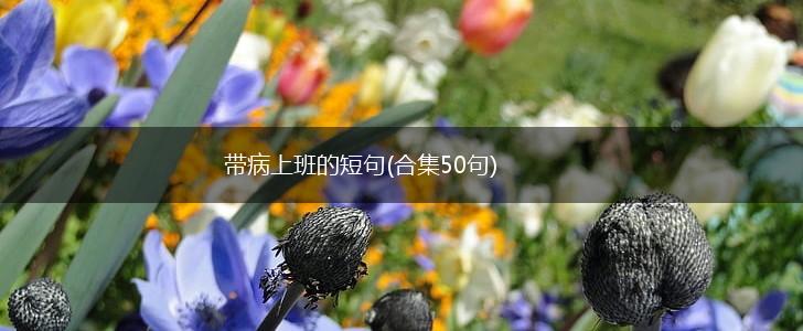 带病上班的短句(合集50句),第1张