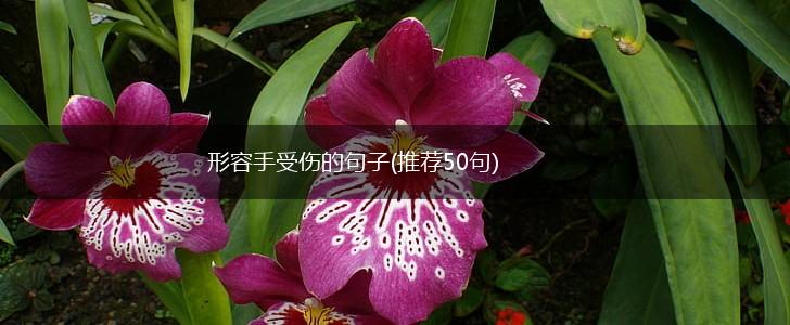 形容手受伤的句子(推荐50句),第1张