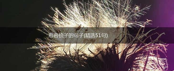 形容梳子的句子(精选51句),第1张