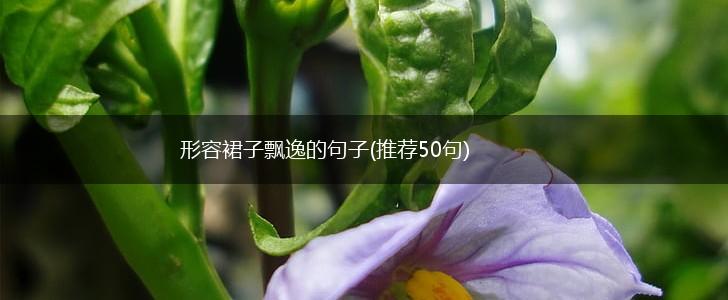 形容裙子飘逸的句子(推荐50句),第1张