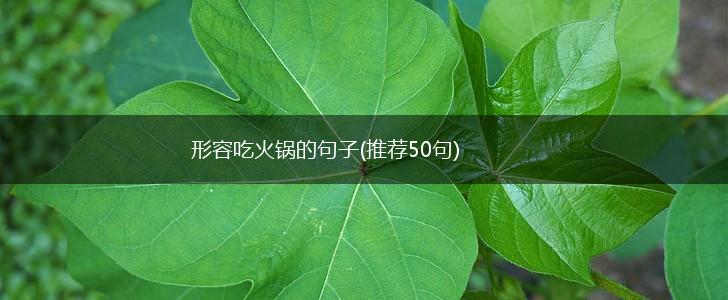 形容吃火锅的句子(推荐50句),第1张