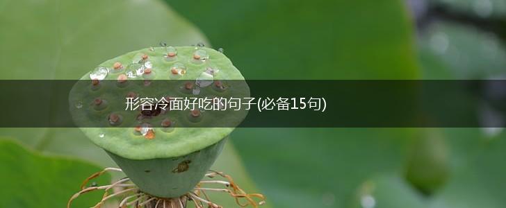 形容冷面好吃的句子(必备15句),第1张