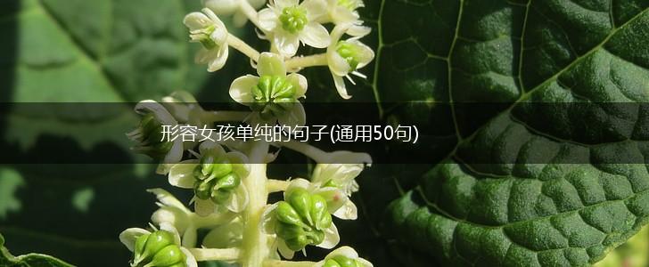 形容女孩单纯的句子(通用50句),第1张