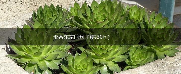 形容东京的句子(共30句),第1张