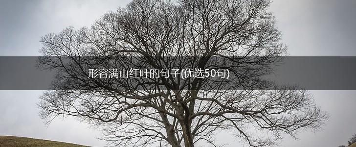 形容满山红叶的句子(优选50句),第1张 形容满山红叶的句子(优选50句),第1张